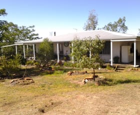 Rural / Farming commercial property sold at 318 Dilladerry Road Tomingley NSW 2869