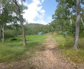 Rural / Farming commercial property sold at 46543 Bruce Highway Bambaroo QLD 4850