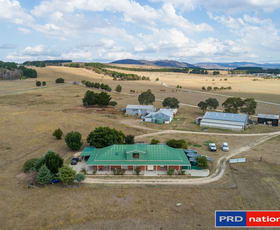 Rural / Farming commercial property sold at 277 Tarago Road Bungendore NSW 2621