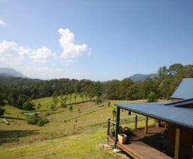 Rural / Farming commercial property sold at 305 Stanger Road Stony Chute NSW 2480