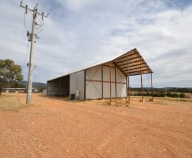 Rural / Farming commercial property sold at 5098 Stawell-Avoca Road Frenchmans VIC 3384