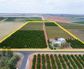 Rural / Farming commercial property sold at 1716 White Road Tharbogang NSW 2680