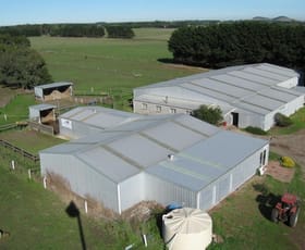 Rural / Farming commercial property sold at 424 Cross Forest Road Camperdown VIC 3260
