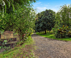 Rural / Farming commercial property sold at 509 Rosebank Road Rosebank NSW 2480