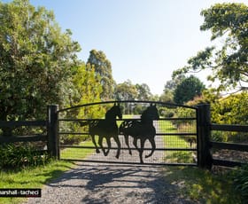 Rural / Farming commercial property sold at 146 Coolagolite Road Coolagolite NSW 2550 Rural / Farming commercial property sold at 146 Coolagolite Road Coolagolite NSW 2550