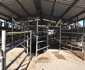 Rural / Farming commercial property sold at 977 Trevaskis Road Kyabram VIC 3620