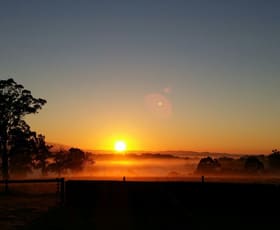 Rural / Farming commercial property sold at 244 Dawsons Track Nilma North VIC 3821