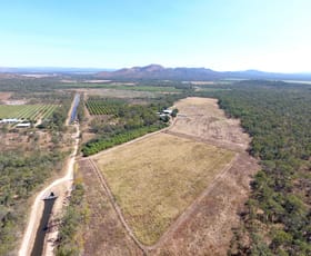 Rural / Farming commercial property sold at 224 Springmount Road Mareeba QLD 4880