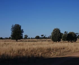 Rural / Farming commercial property sold at The Gums QLD 4406 Rural / Farming commercial property sold at The Gums QLD 4406