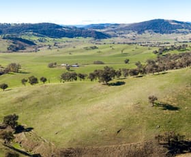 Rural / Farming commercial property sold at 74C Back Arragons Road Adelong NSW 2729