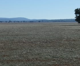 Rural / Farming commercial property sold at 1089 O'Keeffes Road Rankins Springs NSW 2669