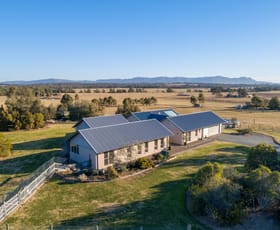 Rural / Farming commercial property sold at 379 Talga Road Lovedale NSW 2325