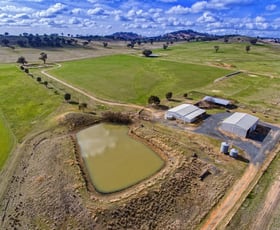 Rural / Farming commercial property sold at 99 Kleemans Rd Henty NSW 2658