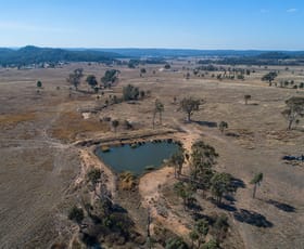 Rural / Farming commercial property sold at 873 Blue Springs Road Gulgong NSW 2852