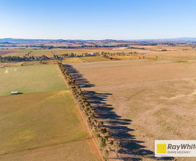 Rural / Farming commercial property sold at 1203 Rivers Road Canowindra NSW 2804