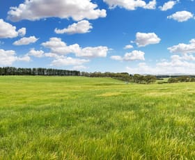 Rural / Farming commercial property sold at 171 Third Creek Road Crookwell NSW 2583