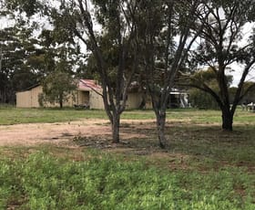 Rural / Farming commercial property sold at 5727 Quairading Road Mount Hardey WA 6302