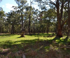 Rural / Farming commercial property sold at 2450 Cobden Warrnambool Road Naringal East VIC 3277