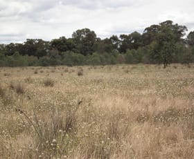 Rural / Farming commercial property sold at 22 Wormangal-Wahring Road Nagambie VIC 3608