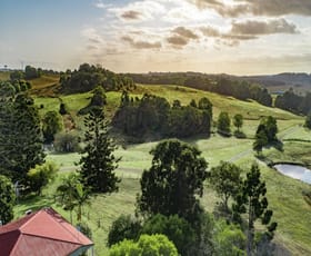 Rural / Farming commercial property sold at 174 Dingo Lane Myocum NSW 2481