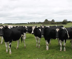 Rural / Farming commercial property sold at 15 Kerrs Road Ondit VIC 3249