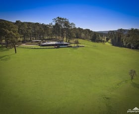 Rural / Farming commercial property sold at 849 Jilliby Road Dooralong NSW 2259