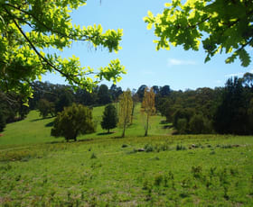 Rural / Farming commercial property sold at 110 Carpenter Road Officer VIC 3809