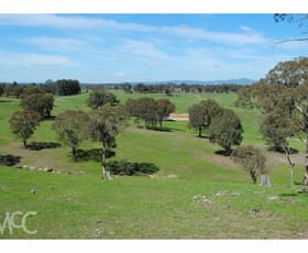 Rural / Farming commercial property sold at 'Windsor Park' 122 Kent Road Orange NSW 2800