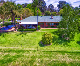 Rural / Farming commercial property sold at 204 Wymah Rd Bowna NSW 2644