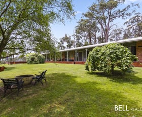 Rural / Farming commercial property sold at 231 Tschampions Road Macclesfield VIC 3782
