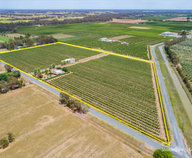 Rural / Farming commercial property sold at 110 Coach Road Shepparton East VIC 3631