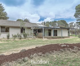 Rural / Farming commercial property sold at 117 Tricks Lane Napoleons VIC 3352