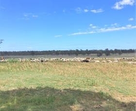 Rural / Farming commercial property sold at 176 Spiers Creek Road Stonehenge QLD 4357