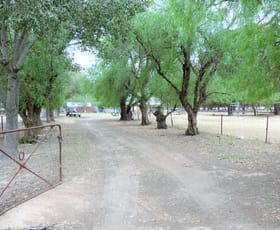 Rural / Farming commercial property sold at 100 Old Wallendbeen Road Stockinbingal NSW 2725