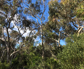 Rural / Farming commercial property sold at Lot 4 Avenue Range Road Reedy Creek SA 5275