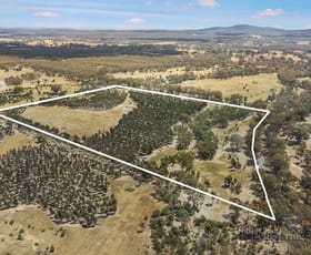 Rural / Farming commercial property sold at 549 Fogartys Gap Road Walmer VIC 3463