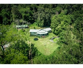 Rural / Farming commercial property sold at 2287 Darkwood Road Bellingen NSW 2454