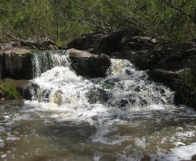 Rural / Farming commercial property sold at 7 Sugarbag Rd Tabulam NSW 2469