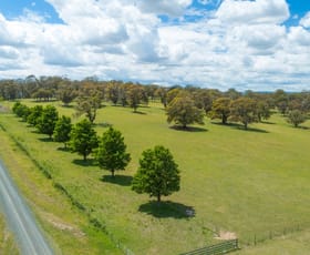 Rural / Farming commercial property sold at 1220 Hartford Rd Walcha NSW 2354