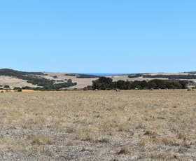 Rural / Farming commercial property sold at 44 Florance Road Haines SA 5223
