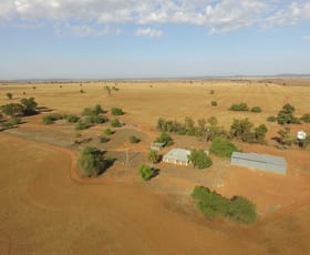 Rural / Farming commercial property sold at 3819 Newell Highway Grong Grong NSW 2652