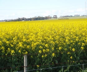 Rural / Farming commercial property sold at 3335 Foxhow-Berrybank Road Berrybank VIC 3323