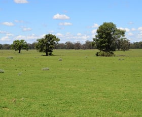 Rural / Farming commercial property sold at 'Glenburn' 1056 Kickabil Road Gilgandra NSW 2827