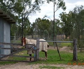 Rural / Farming commercial property sold at 76 Roche Creek Rd Wandoan QLD 4419