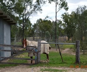 Rural / Farming commercial property for sale at 76 Roche Creek Rd Wandoan QLD 4419