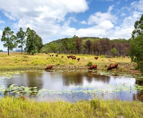 Rural / Farming commercial property sold at 626 Black Flat Lane Mount George NSW 2424