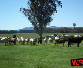 Rural / Farming commercial property sold at 386 Settlement Road East Narrikup WA 6326