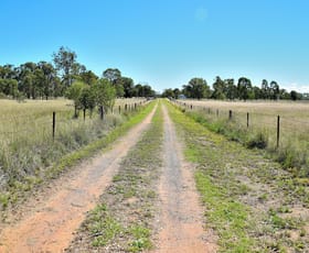 Rural / Farming commercial property sold at 10 Smelter Road Rosenthal Heights QLD 4370