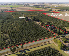 Rural / Farming commercial property sold at 193 Hosie Road Shepparton East VIC 3631