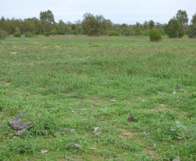 Rural / Farming commercial property sold at Mitchell Highway Charleville QLD 4470